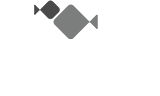 Trefi Global